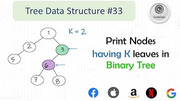 #33 Print all nodes having K leaves in Binary Tree  | Data Structures and Algorithms in Java | Imp