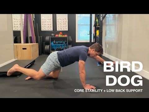 Bird Dog Technique for Real Core Control