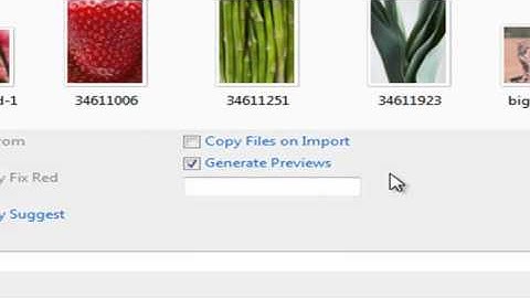 New Options for Managing Photos on External Drives with Photoshop Elements 9