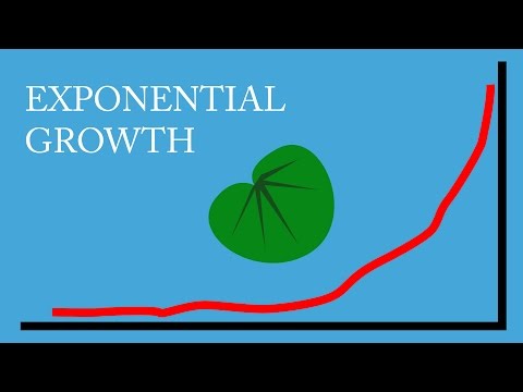 ⁣Exponential Growth