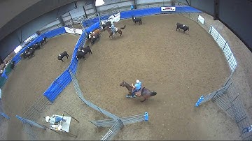 Big Sky Ranch Sorting Saddle Series Finals - #3 - Round #2 - Ride #8