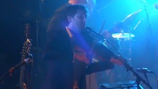 Andrew Bird - A Nervous Tic Motion Of The Head To The Left / Tenuousness (HD) Live In Paris 2016