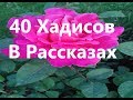 40 Хадисов В Рассказах 01