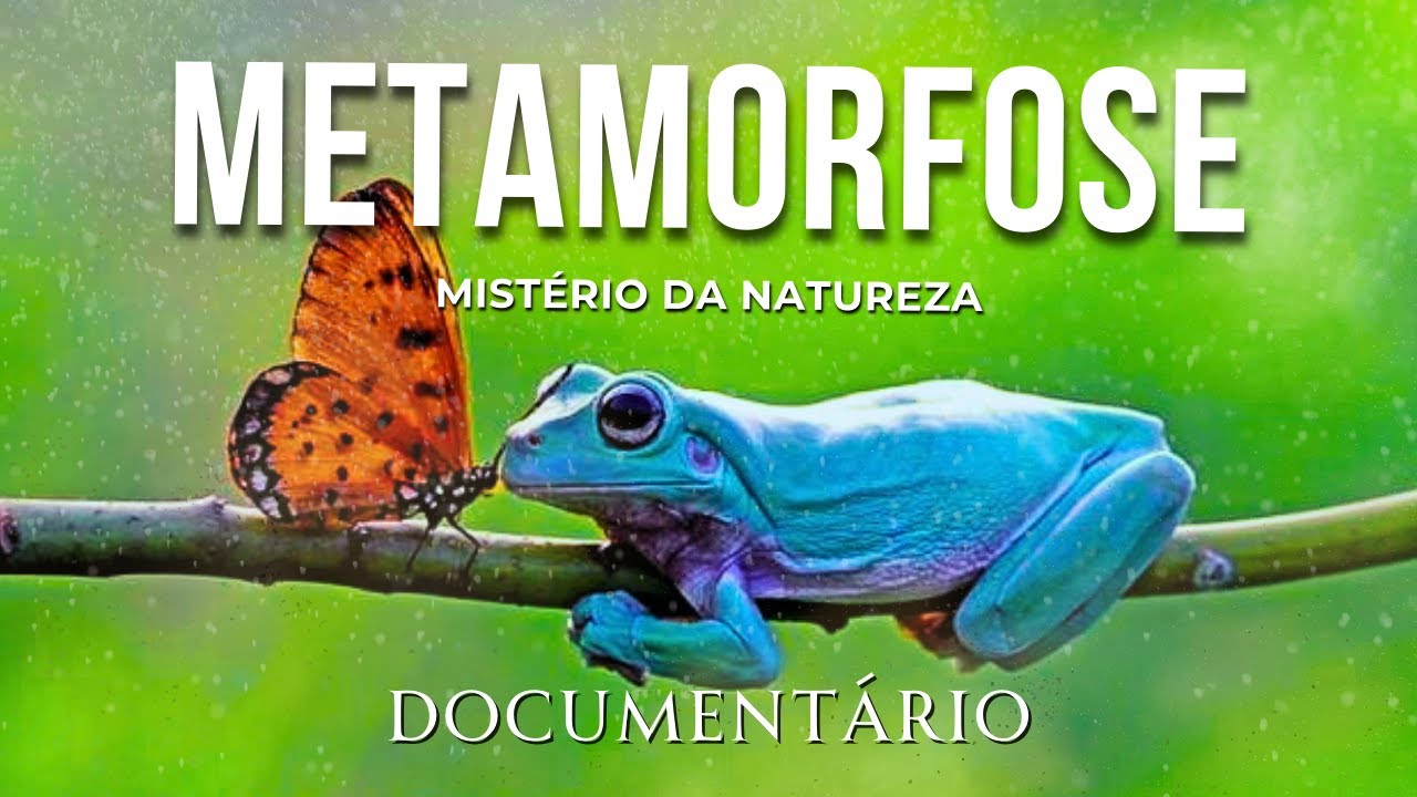 A Incrível METAMORFOSE | O Mistério da Transformação na Natureza | Documentário animal