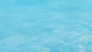 Abwan Omar Somali iyo Xeebta qiimaha badan ee Batalale