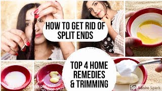 How To Get Rid Of Split Ends | Top 4 Home Remedies & Hair Trimming Treatment