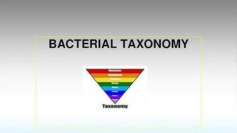 chapter 3 1 Bacterial Taxonomy