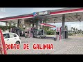 LITORAL + LINDO DO BRASIL! PERNAMBUCANO 
