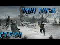 Поём и играем в Mini dayZ