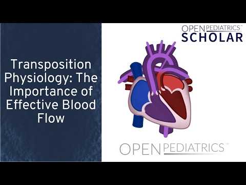 Transposition Physiology: The Importance Of Effective Blood Flow By M. Cory | Openpediatrics Scholar