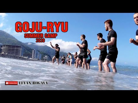გოჯუ-რიუს საზაფხულო შეკრება 2020 | Goju-Ryu Summer Camp Georgia 2020