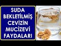 SUDA BEKLETİLMİŞ CEVİZİN MUCİZEVİ FAYDALARI - CEVİZ SUYUNU İÇTİKTEN SONRA HEMEN KAHVALTIYA OTURMAYIN