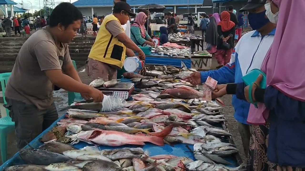 Pelelangan Ikan Kwandang Gorontalo Utara