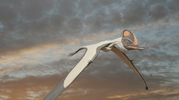 Tendaguripterus Flight Test