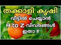 തക്കാളി കൃഷിക്ക് അറിയേണ്ടതെല്ലാം | Thakkali krishi reethi malayalam | Tomato cultivation tips kerala