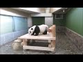 休園日の朝