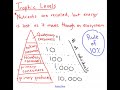 Ecology Insights: Food Webs and Organism Roles