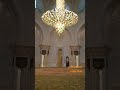 #мечеть #мечетьшейхазайда #люстра #абудаби #оаэ #дубай #отпуск2023 #viktoriatravelin #путешествие