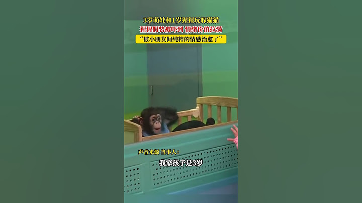 3岁萌娃和1岁猩猩玩躲猫猫，猩猩假装被吓到，情绪价值拉满，“被小朋友间纯粹的情感治愈了”#人类幼崽 #神奇动物