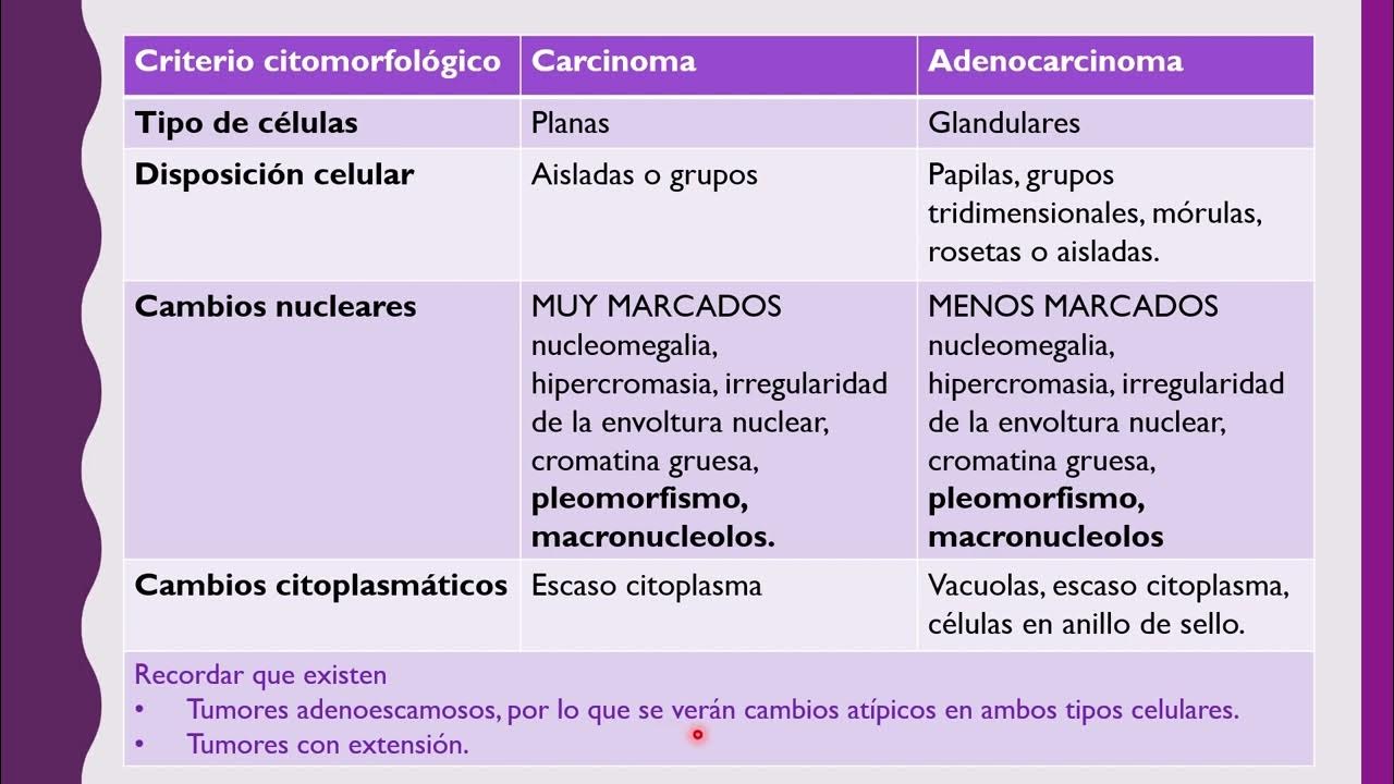 Esophageal Adenocarcinoma Vs Squamous Cell Carcinoma Prognosis