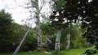 2 Guys 1 Chainsaw And A Tree