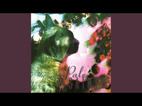 Insubstantial - Pale Saints
