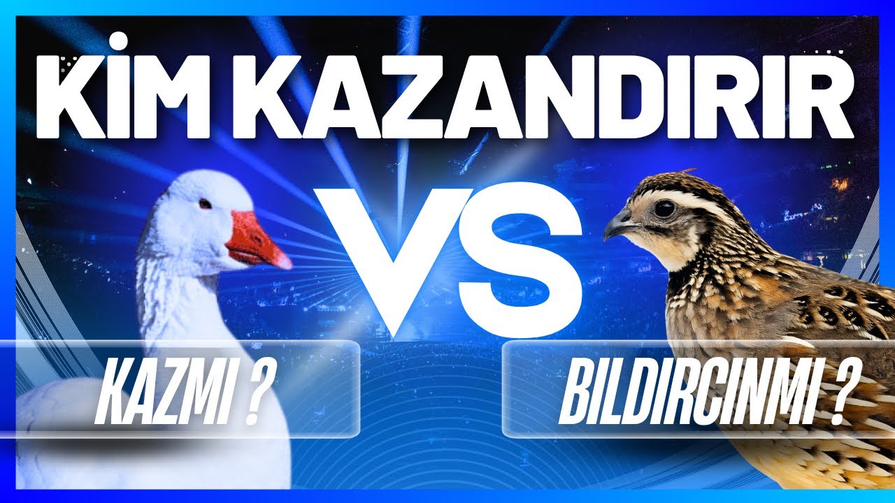 Kaz vs Bıldırcın Hangisi Daha Çok Kazandırır?