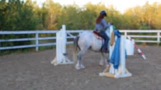 Obstacle Challenge - Horse Opening and Closing a Rope Gate