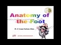 Anatomy of the FOOT (Complete) || Dr. Yusuf ||