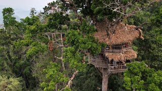 The gibbon Experience. Tree house 4