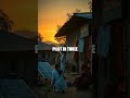 The Light We Share A Solar Startup Story
