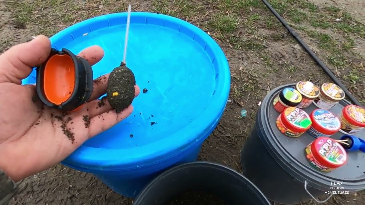 Zece nutrii și-o babușcă. Bega cappuccino....