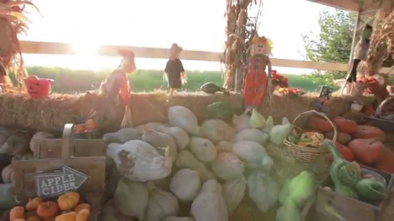 Pumpkin Town | © Full Feather Photography