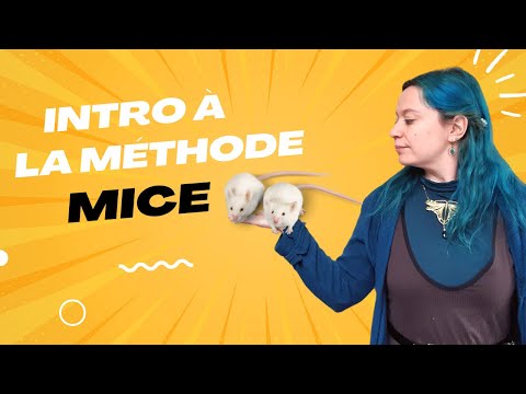 Ecrire un roman avec la méthode MICE