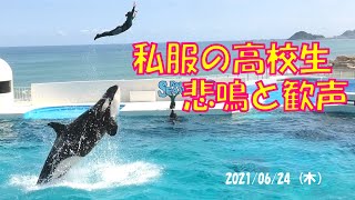 私服高校生,悲鳴と歓声、シャチパフォーマンス鴨川シーワールド「2021/06/24」(木14:00