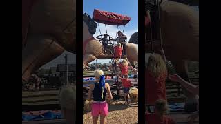 Pumpkin patch 2025 Roca Berry