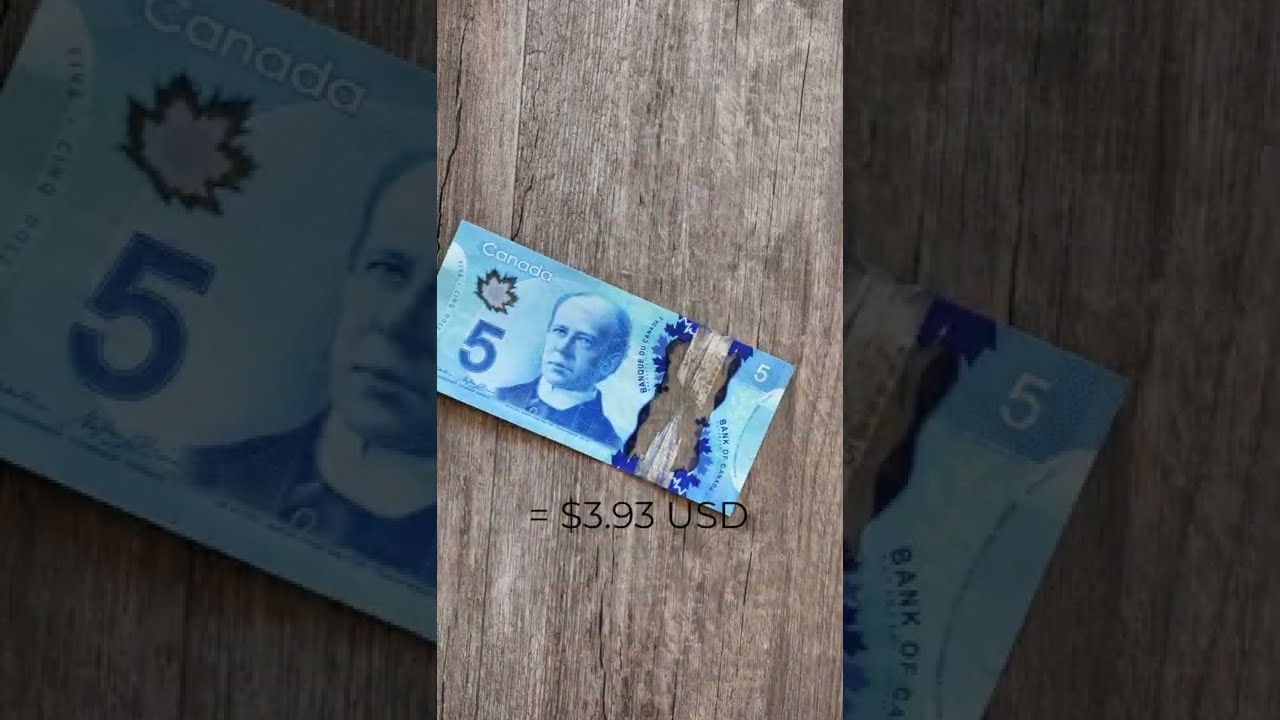 My Foreign Currency Collection 