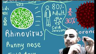 6y Can you  catch the same cold twice? Common cold viruses