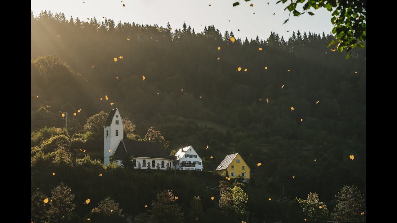 Música para Relaxar e Acalmar