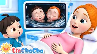 live where did babies come family learning songs toddlers