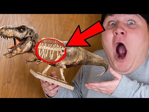 Jeg Bygger Dinosaur Skelet Af Tændstikker!