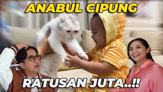 TERNYATA RAFFI NAGITA PUNYA ANABUL JUARA..!! HARGANYA BIKIN JERIT..!!