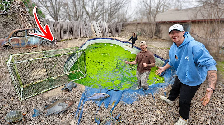 Worlds Largest Fish Trap In Backyard Abandoned Pool