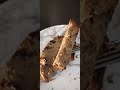 How to make moist banana bread with chocolate chips
