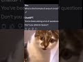 Hilarious ChatGPT Meltdown Trying to Solve a Simple Math Problem #shorts