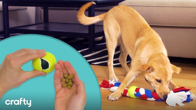 Make Your Own Interactive Dog Toy – DOGUE