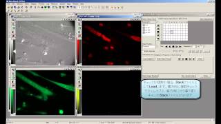 MetaMorph　Review Multidimensional Dataについて