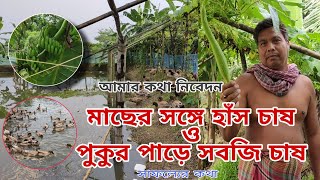 মাছের সঙ্গে হাঁস চাষ ও পুকুর পাড়ে সবজি চাষ করে সাফল্য।। screenshot 2