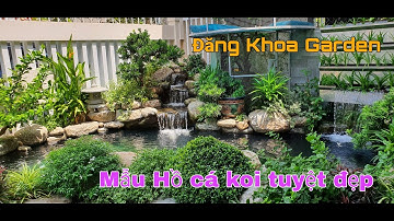 Sân vườn Hồ cá Koi Nhật đẹp nhà anh Phúc Tam Kỳ, Quảng Nam- Thi công hồ cá Koi ngoài trời đẹp.