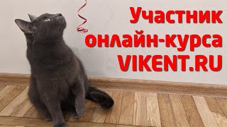 КРЕАТИВНЫЙ / ТВОРЧЕСКИЙ КУРС VIKENT.RU